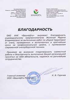 отзывы клиентов регион групп, арендовать минипогрузчик, ульяновск